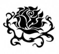 /album/roses/black-rose-jpg/